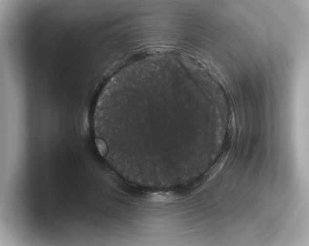 X0000101100508200807241030