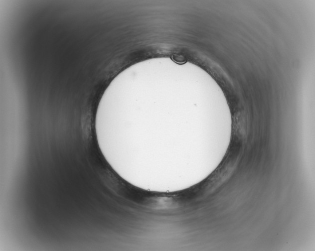 X0000101100509200807241030