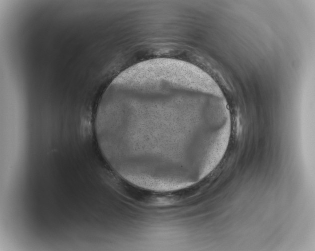 X0000101100510200807241030