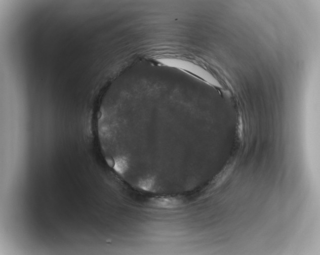 X0000101100512200807241030