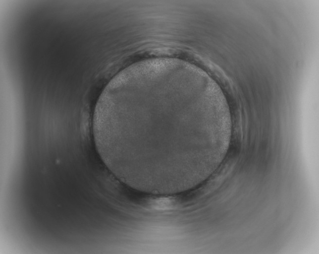 X0000101100513200807241030