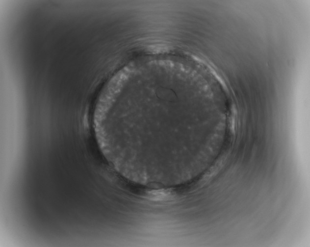 X0000101100516200807241030