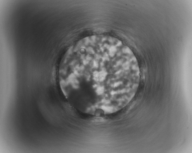 X0000101100519200807241030