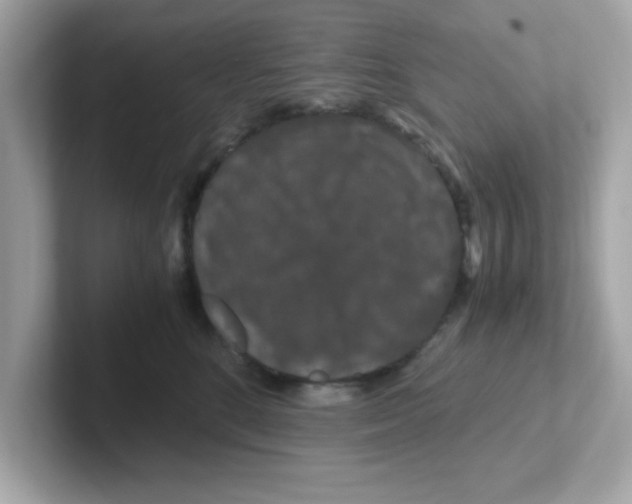 X0000101100520200807241030