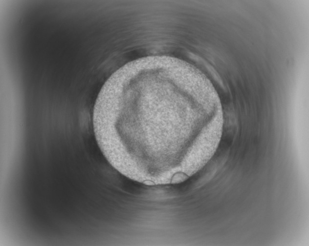 X0000101100523200807241030