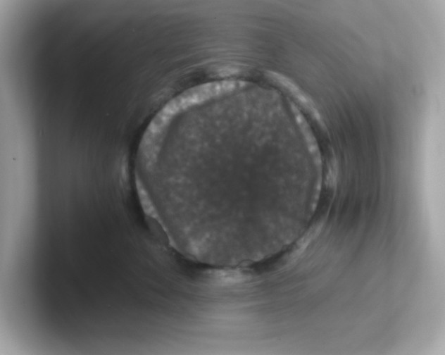 X0000101100524200807241030
