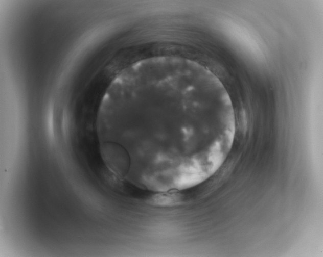X0000101100526200807241030