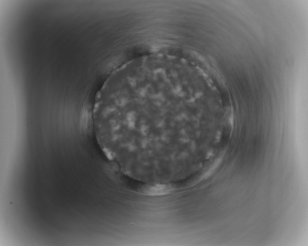 X0000101100527200807241030