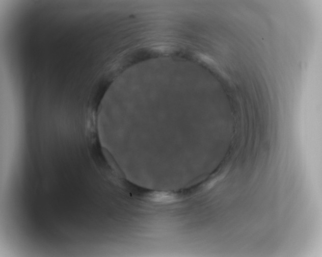 X0000101100528200807241030