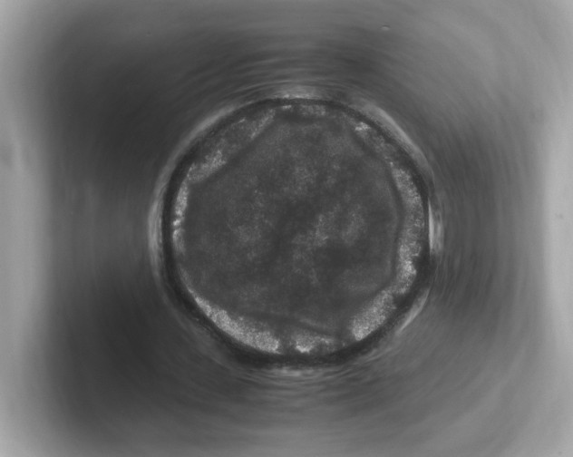 X0000101100531200807241030