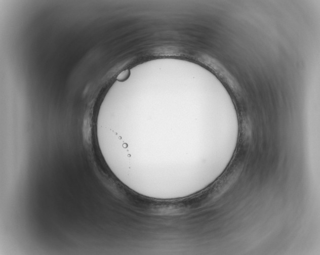 X0000101100533200807241030