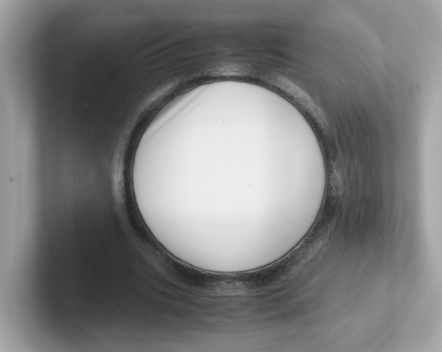 X0000101100535200807241030
