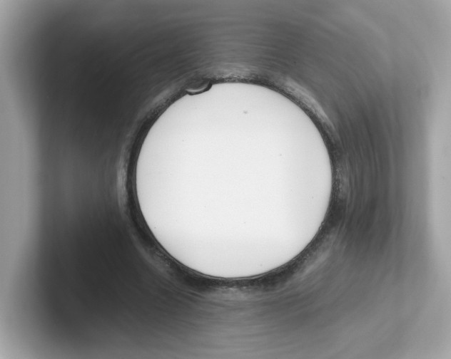 X0000101100538200807241030