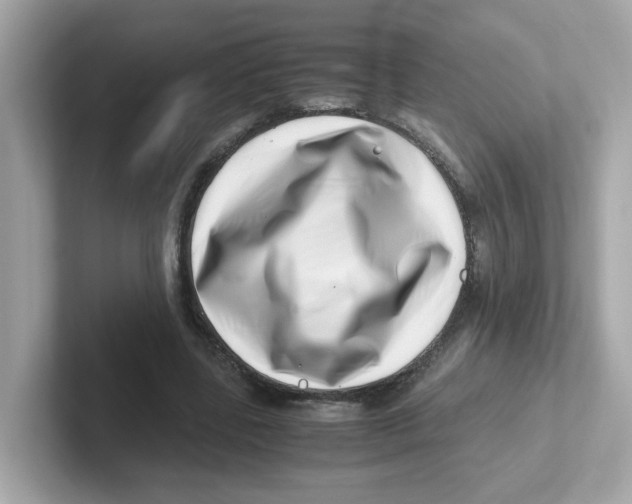 X0000101100539200807241030