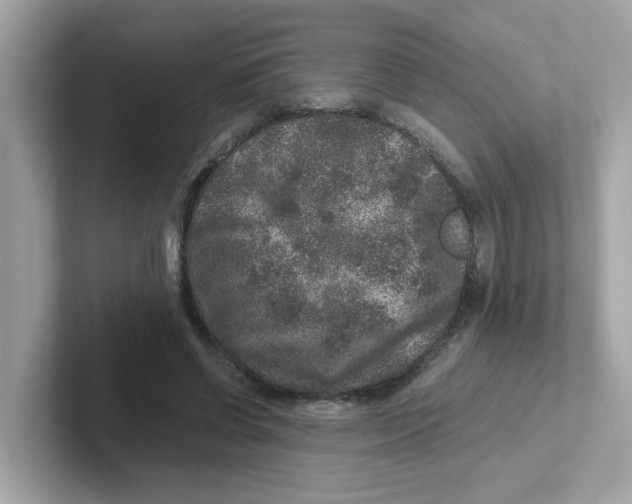 X0000101100542200807241030