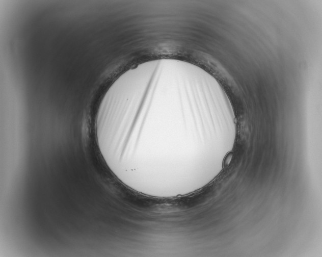 X0000101100544200807241030