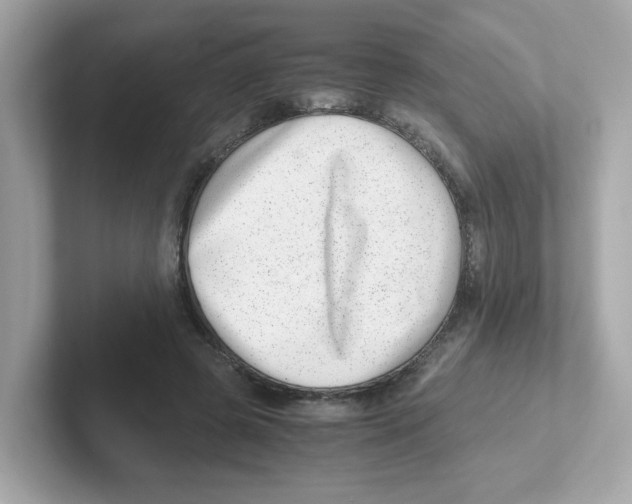 X0000101100545200807241030