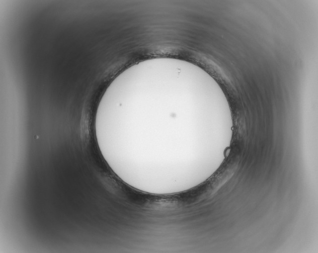 X0000101100546200807241030