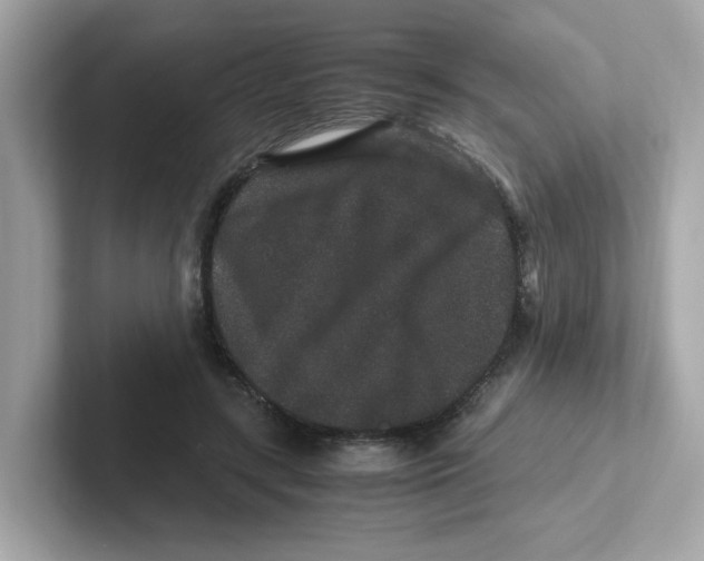 X0000101100547200807241030
