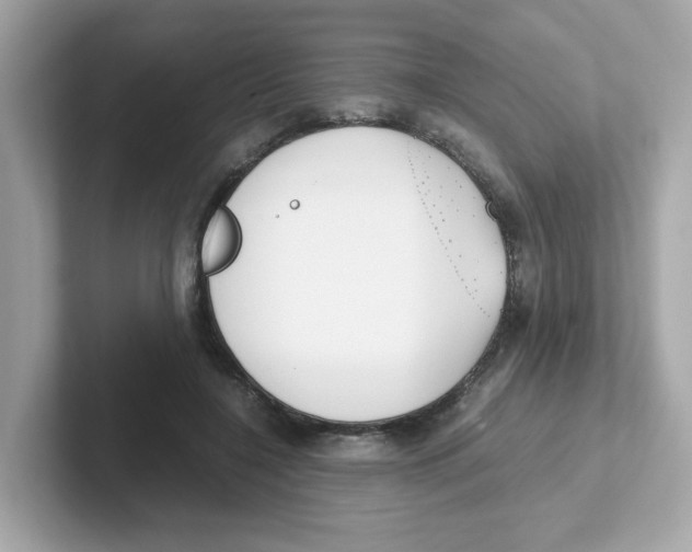 X0000101100548200807241030