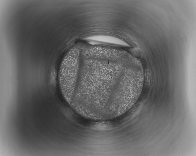 X0000101100550200807241030