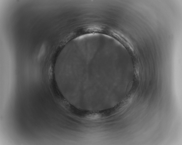 X0000101100551200807241030