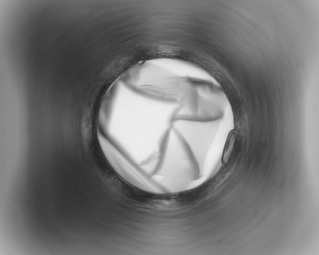 X0000101100552200807241030