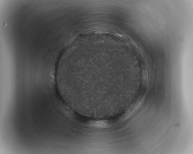 X0000101100553200807241030