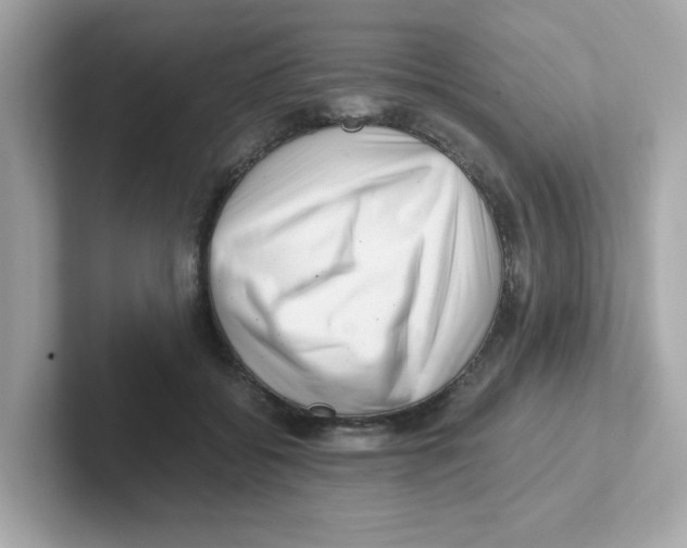 X0000101100556200807241030