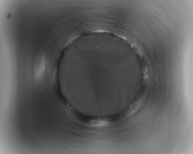 X0000101100559200807241030