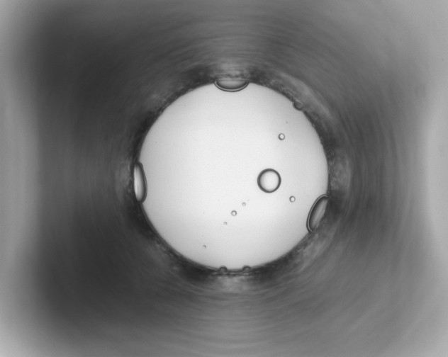 X0000101100560200807241030