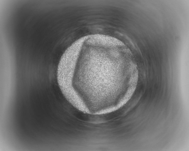 X0000101100561200807241030