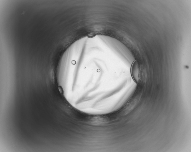 X0000101100562200807241030