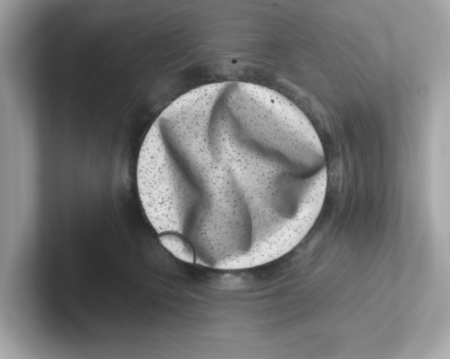 X0000101100566200807241030