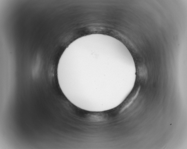 X0000101100567200807241030