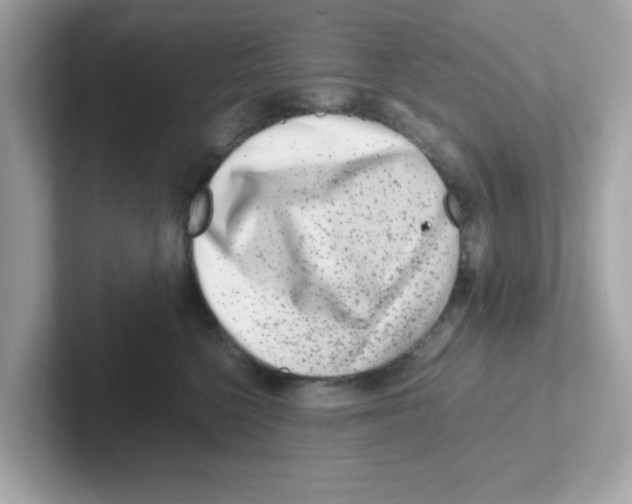 X0000101100568200807241030
