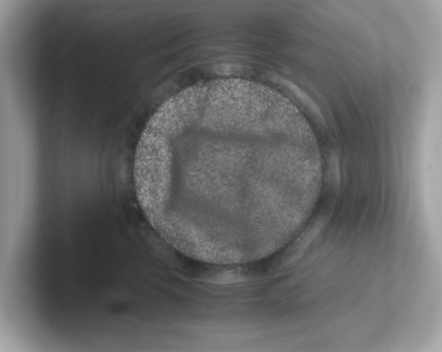 X0000101100569200807241030