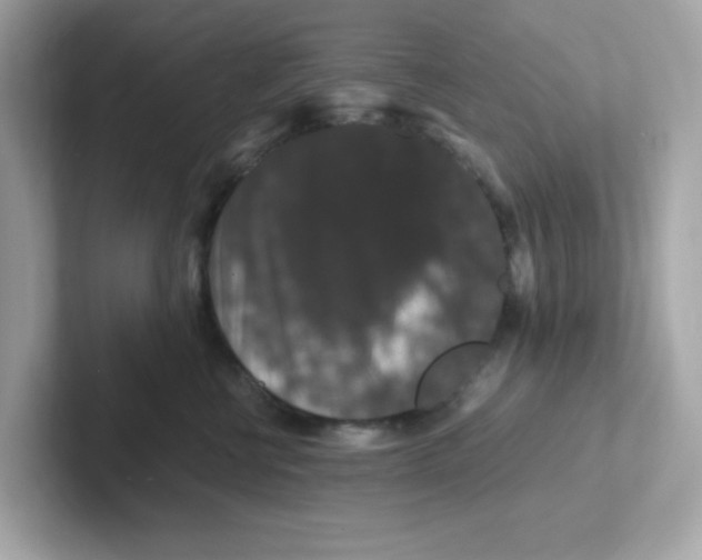 X0000101100570200807241030