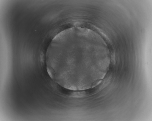 X0000101100571200807241030