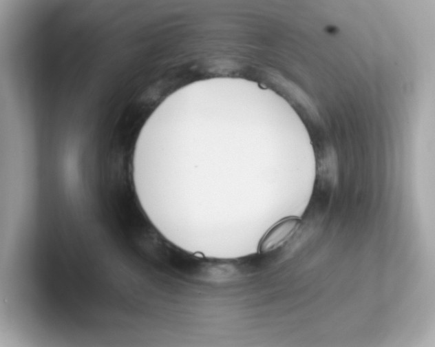 X0000101100572200807241030