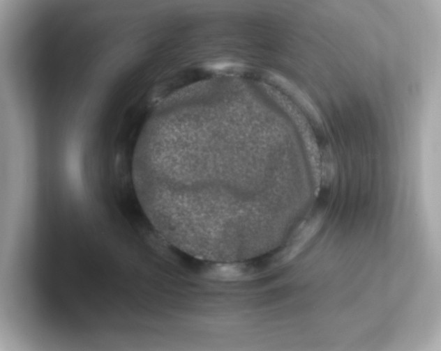 X0000101100573200807241030