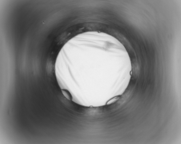 X0000101100574200807241030