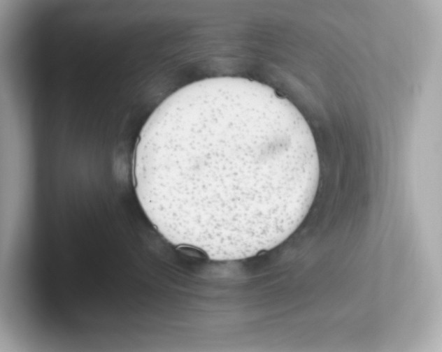 X0000101100576200807241030