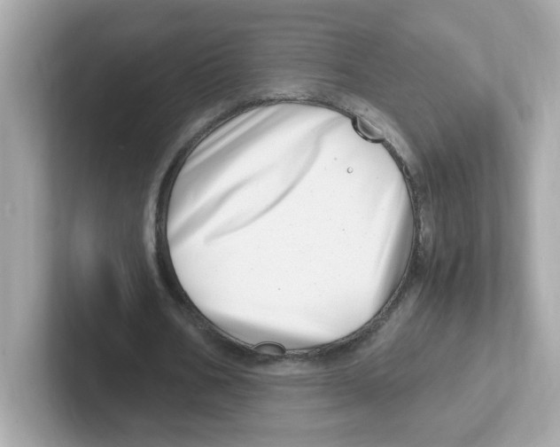 X0000101100578200807241030