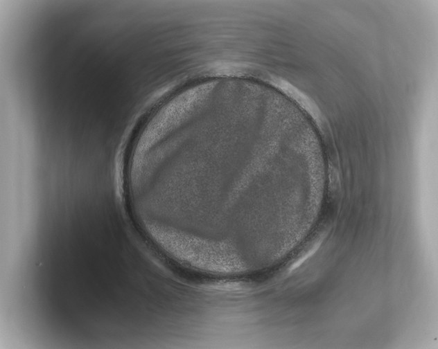 X0000101100581200807241030