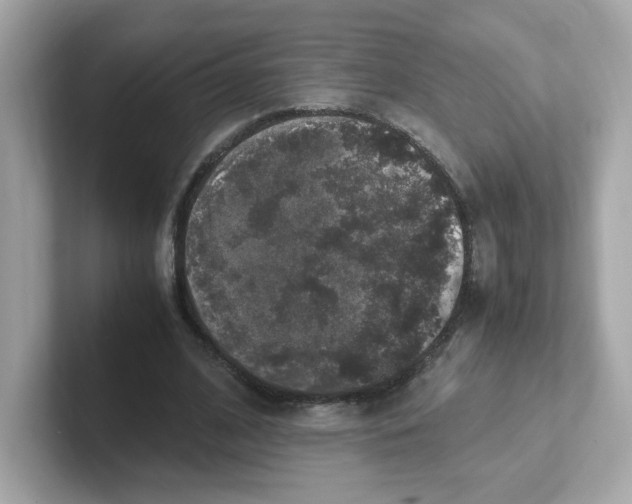 X0000101100584200807241029