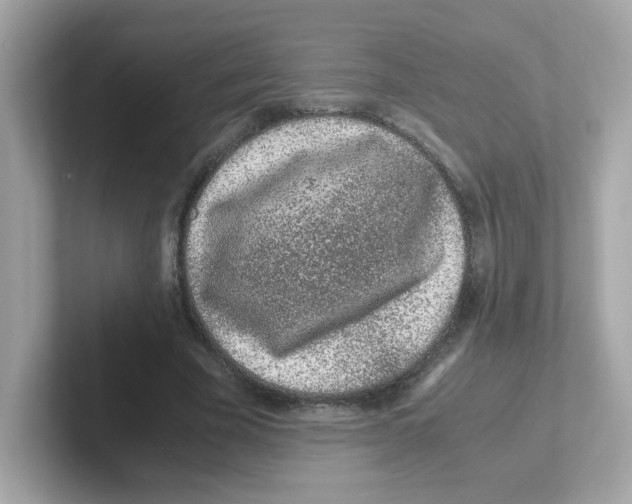 X0000101100585200807241029