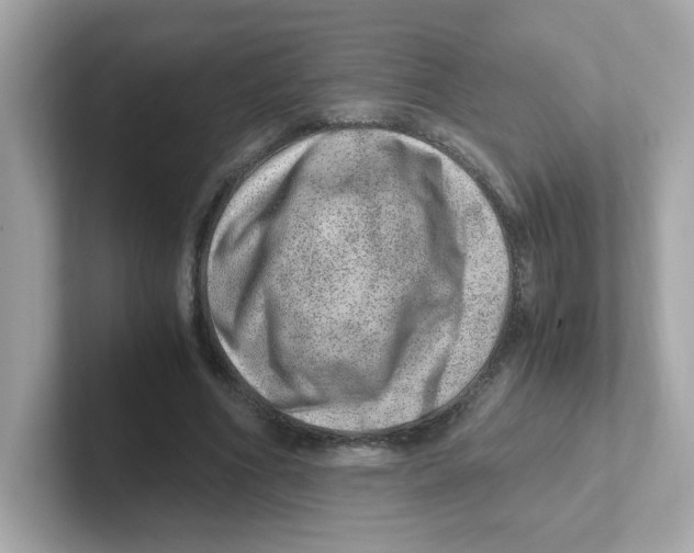 X0000101100586200807241029