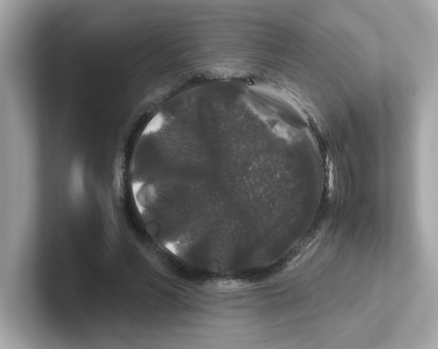 X0000101100590200807241029