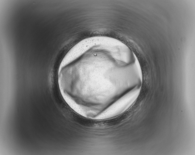 X0000101100591200807241029